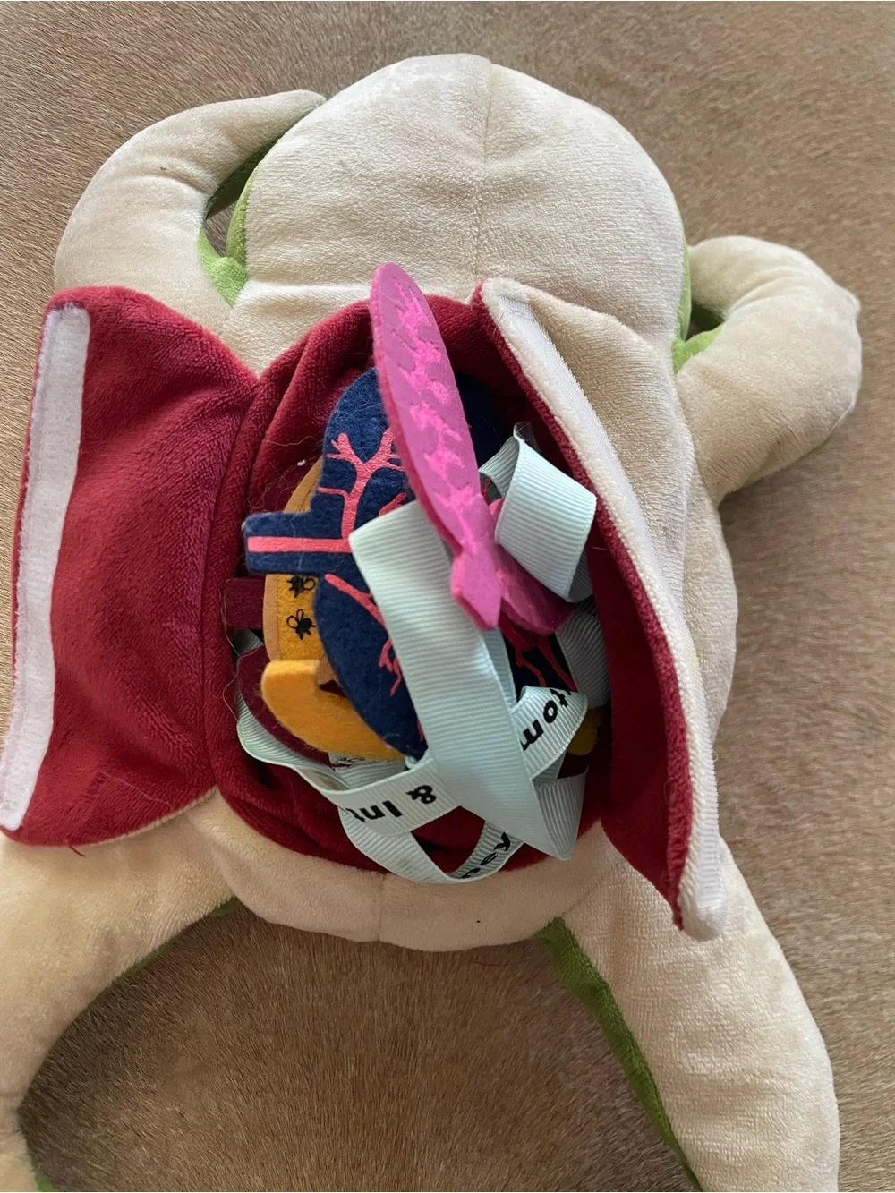 Frog Dissection Plush
